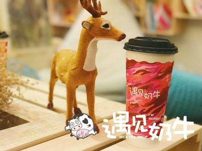阳春三月 遇见奶牛喜事连连