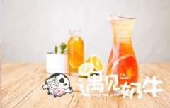 遇见奶牛加盟店经营要考虑哪些因素?