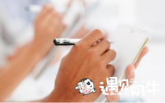 开加盟奶茶店前的市场调查应该怎么做？