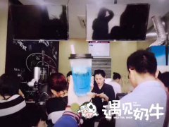 现在开遇见奶牛加盟奶茶店能赚多少钱？