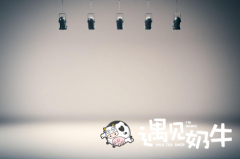 遇见奶牛装修如何巧用灯光？