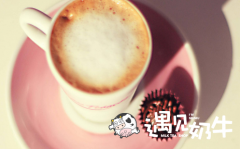 奶茶店连锁加盟服务员应具备哪些素质