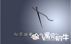 加盟遇见奶牛怎么样 经营从什么地方入手