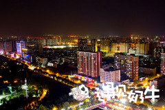 石家庄投资遇见奶牛加盟店怎么样？