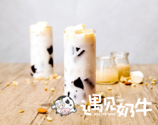 大城市开奶茶店加盟费要多少钱？