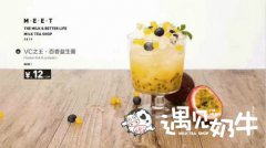 遇见奶牛代理奶茶店赚钱需要做好以下几点