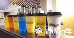 遇见奶牛奶茶加盟如何？