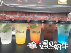 选择反思对于奶茶加盟品牌店的重要性