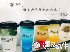 创业选奶茶加盟排行榜品牌，创业有保障