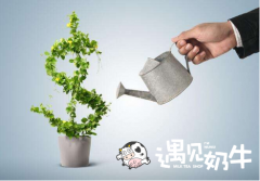 开奶茶加盟饮品店会有哪些总部扶持