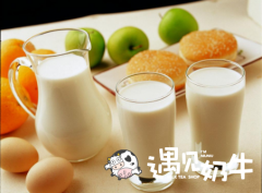 怎样选择赚钱的奶茶加盟品牌？