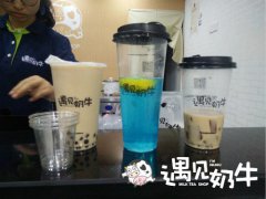 开珍珠奶茶加盟店怎样,遇见奶牛总部扶持