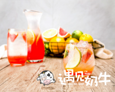 2017什么创业项目好？遇见奶牛引导创业致富道路