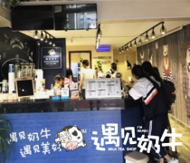 可以一个人开一家遇见奶牛奶茶店吗？