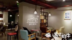 奶茶连锁店怎么合理安排营业时间？