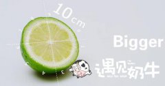 在不同地区开茶饮加盟店有哪些区别？