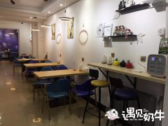 自己去找品牌加盟奶茶店怎么样？加盟费要多少