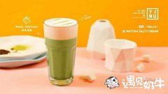 为什么遇见奶牛奶茶店有这么高的店铺存活率