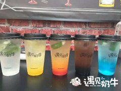 为什么众多网红奶茶店走向没落？
