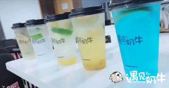 经营奶茶连锁店会遇到的几大问题