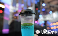 遇见奶牛加盟费增加了吗？加盟一家奶茶店要多