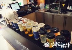 遇见奶牛只适合年轻人开吗？年轻人在哪里开店