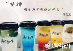 如何科学的制定奶茶菜单