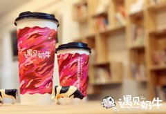 投资奇异鸟奶茶加盟店的风险怎么看？