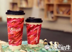 杭州奇异鸟加盟店需要什么样的经营者？