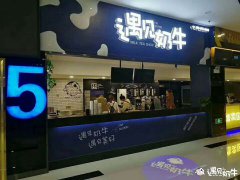 杭州奇异鸟奶茶饮品店经验总结