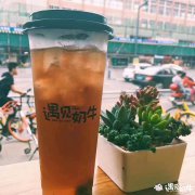 遇见奶牛好喝吗？这几款足以满足你的味蕾
