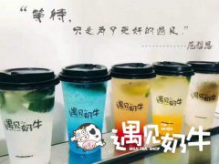 如何精挑细选一个遇见奶牛加盟店地址