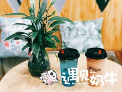 加盟奶茶店为什么选择连锁品牌更好