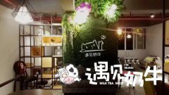 遇见奶牛加盟店怎么经营能跑赢市场