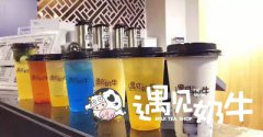 在一线城市开奶茶加盟店需要注意什么