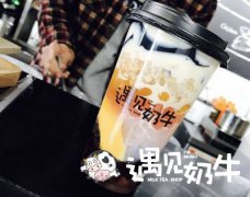 开遇见奶牛奶茶店前期会遇到的问题