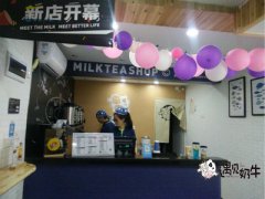 投资加盟奶茶店的原因是什么？