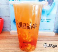 新手开奶茶店要买什么原料？