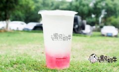 遇见奶牛加盟费值不值得投资