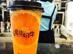 简单搜索永无广告，遇见奶牛持续保障