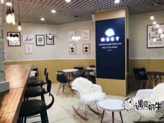 大学生创业遇见奶牛加盟你怎能错过？