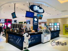 提高遇见奶牛奶茶加盟店人气的方式有哪些