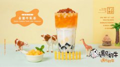 奶茶饮品配方很重要?网红牛乳茶了解下
